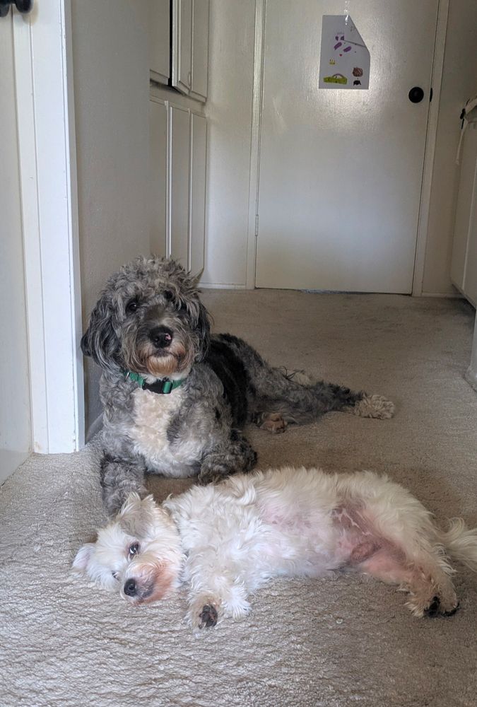 I love my boys 