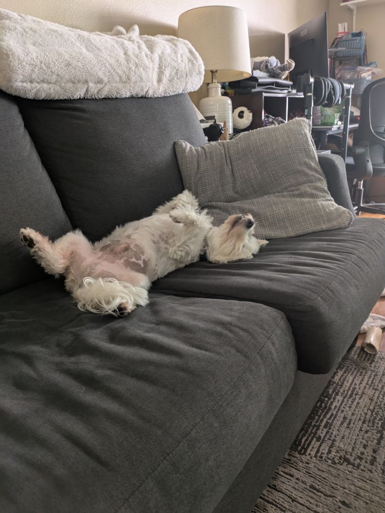 Sleepy Stanley