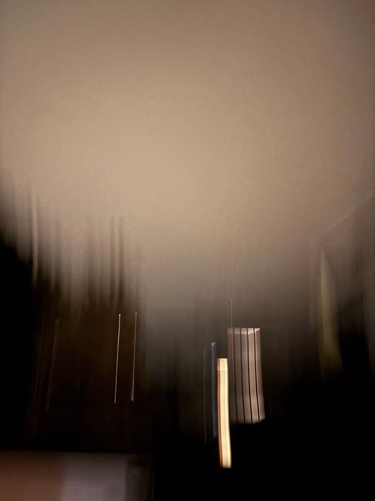 Durch Verziehung sind erleuchtete Fenster und umgebende Bäume zu linearen fast nadelartigen Streifen entstanden, sie sind fast symmetrisch auf beiden unteren Bildflächen abwärts gestaffelt angeordnet, beinahe in der untersten Mitte ist derhellste Streifen zu sehen, der gesamte obere Bereich wird von einer ruhigen Fläche nebelartig gebildet 