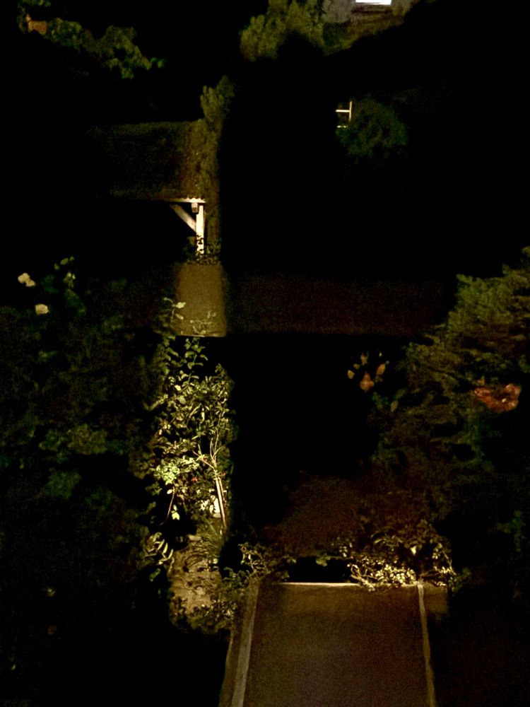 Blick in den sehr dunklen Garten bei Nacht, nur in einem schmalen Streifen etwas neben der Bildmitte wird von unten nach oben die Gartenszenerie sichtbar 