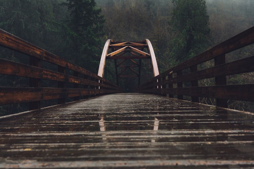 This photo depicts a beautiful bridge of reddish colored wood, leading into a dark green pine forest. The bridge has an arch across the top, made of triangular sections. It has recently rained, and the bridge is wet. A reflection of the arch is visible in the water on the walkway of the bridge. 