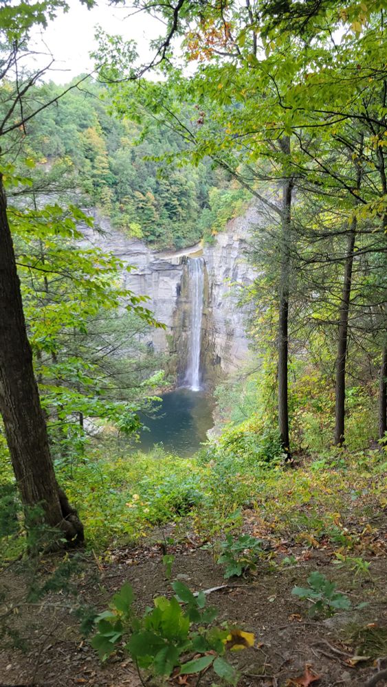 Viewing Taugganock Falls waterfall descending over a rock wall into a pool. The waterfall is seen through a break in the trees.