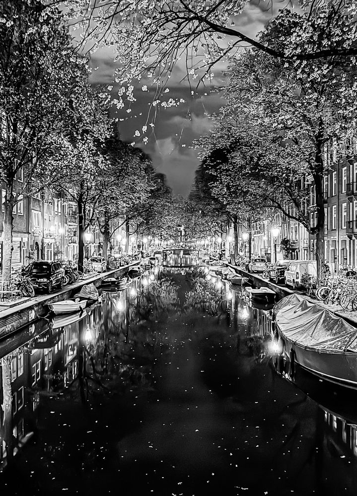 Black-and-white photograph of a nighttime city canal scene. A narrow waterway extends from the foreground to the background. Tall trees with sparse leaves line both sides of the water, forming an arch. Multiple moored boats rest against the canal edges. Streetlights and lamps on the canal banks cast bright reflections on the water’s surface. Buildings with rectangular windows and gabled facades stand closely together on each side. Sidewalks contain bicycles and parked cars.