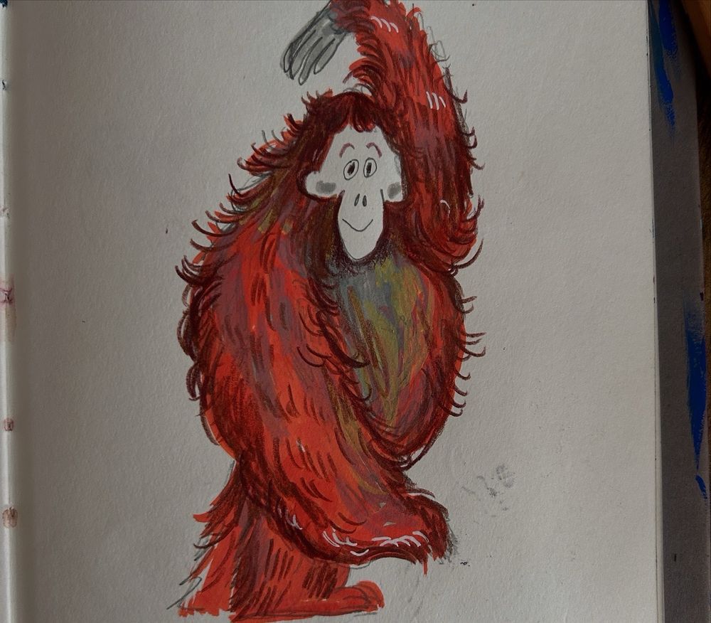 Sketchbook pages of orangutans 