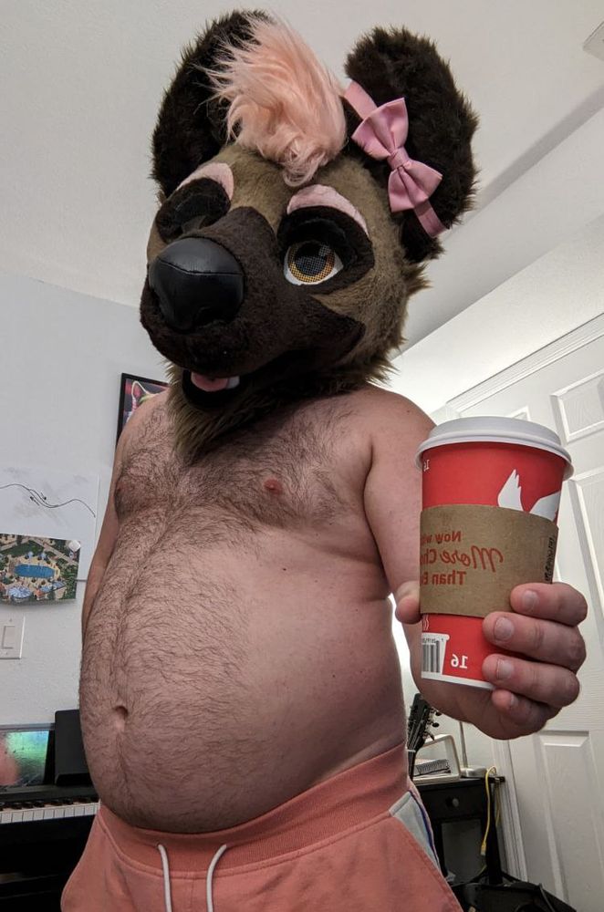fat hyena with his big tummy out is offering Wawa coffee