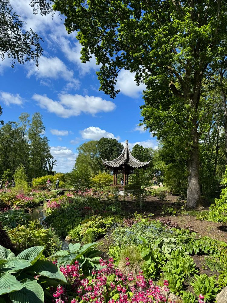 Chinese pagoda in gardens 