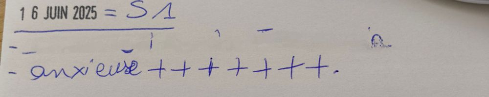 Photo d'un compte rendu où l'on peut voir:

16 juin 2025 : S1
La première ligne est floutée
- anxieuse +++++++