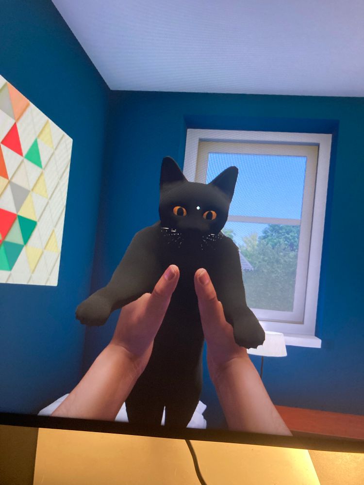 A screenshot of a video game where a pair of hands hold up a black cat from beneath its armpits. The cat is low poly and goofy looking. His arms look like he could beat me in deadweights. 