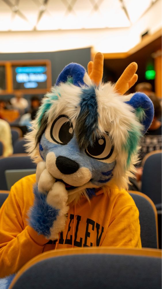 A half body photo of a blue Tiger-Deer fursuiter with blue and white hair in yellow BERKELEY hoodie sitting in a lecture hall