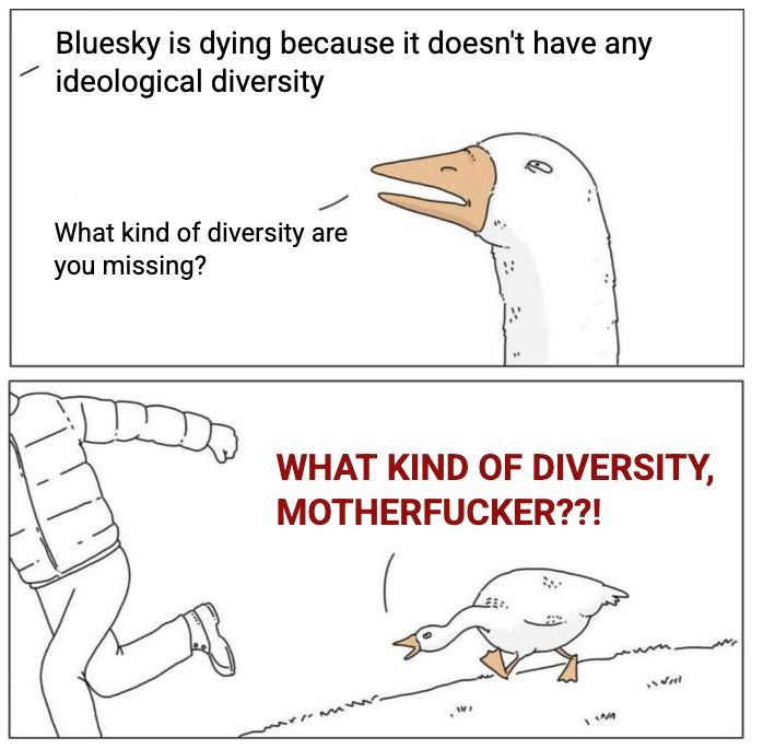 Man: Bluesky is dying because it doesn't have any ideological diversity

Goose: What kind of diversity are you missing?

[ man running away ]

GOOSE: WHAT KIND OF DIVERSITY, MOTHERFUCKER??!