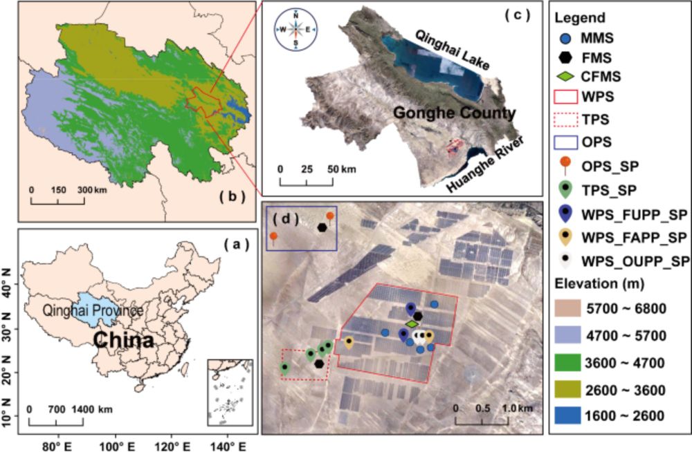 Assessment of the ecological and environmental effects of large-scale photovoltaic development in desert areas - Scientific Reports