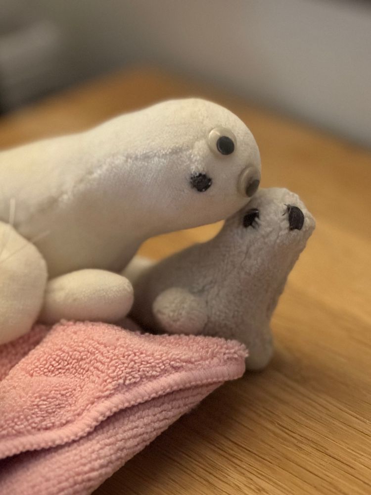 Gosedjurssälarna Calle och OK. Ja han heter faktiskt så och jag har ingen bra förklaring på varför en väldigt ung Martin valde det namnet.

De bor på mitt sängbord och på bilden lutar Calle kärleksfullt sitt huvud mot lillebror OK.