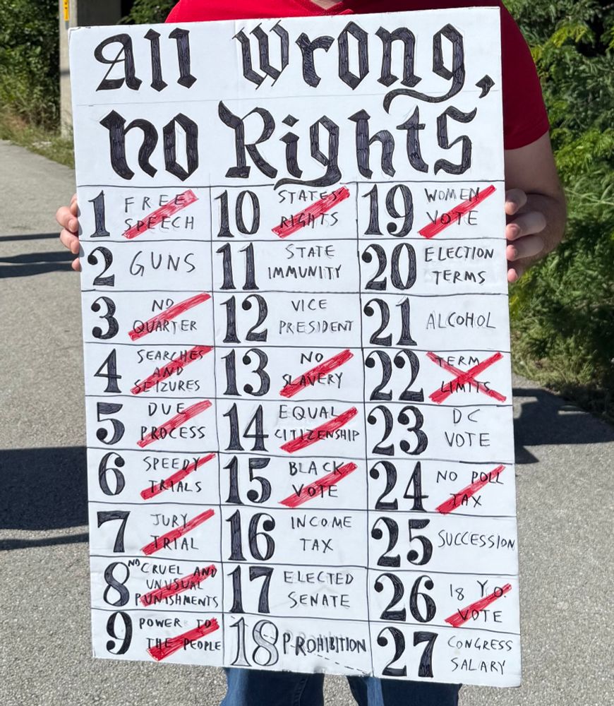 A protest sign reads: All wrongs, No rights 
A list of the bill of rights with a red line across the rights that are currently being violated 