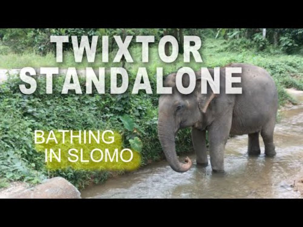 Bathing in slow motion at the Elephant Sanctuary