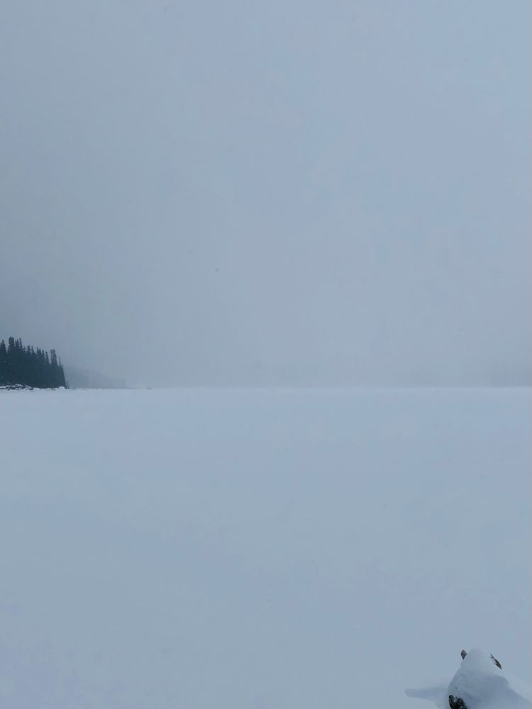 Snowcovered lake with a few fir trees in the background and a snowcovered tree trunk in the foreground.