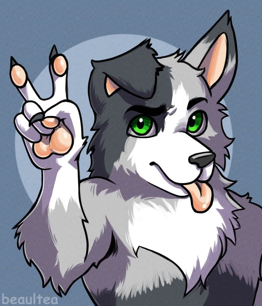 Digital painting of TheHollowMC's character, Pip. He is a furry loosely based on a border collie/heeler mix, and he is mostly a neutral gray, with a white patch on his face and chest, and white paws, and a dark gray patch over his right eye and ear, the tip of his left ear, and the lower half of his body. His eyes are green, and his tongue, ears, and toe pads are all a light, coraly pink. He is sticking his tongue out, looking at the viewer, and making a peace sign. 