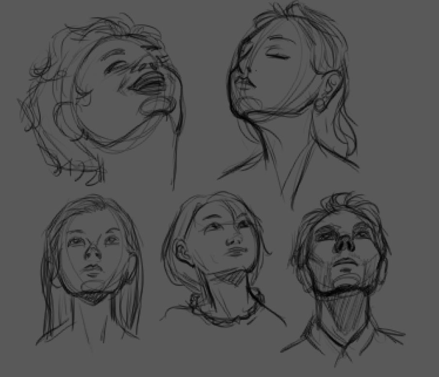 Sketch page of 5 different heads all looking upwards