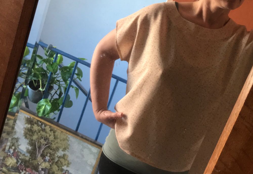 Même avec le timer c’est pénible les autoportraits pour montrer les vêtements que je couds. En arrière plan une plante nouvelle venue à la maison, et un tableau en tapisserie sauvé en deuxième main. #rescuedstitches