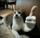 a white cat is giving a thumbs up sign while laying on a couch .