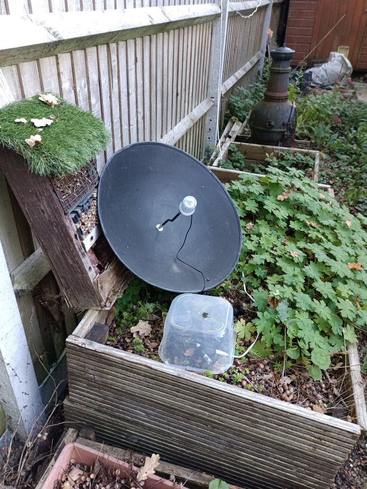 Photo of parabolic reflector in garden, pointing towards clear view of sky