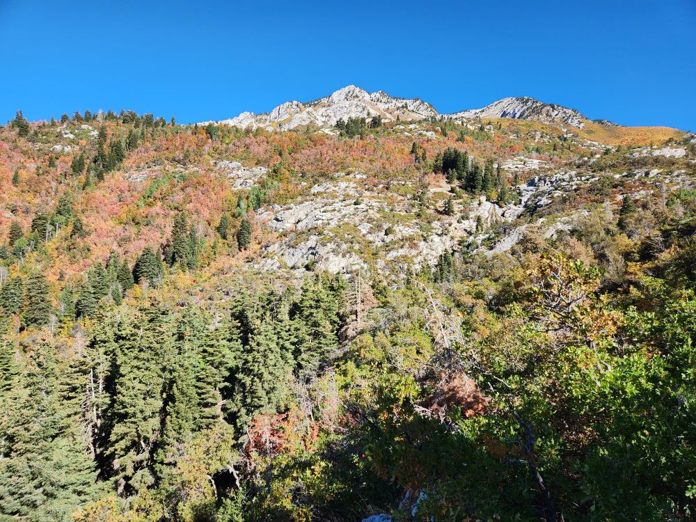 A mountain and a forest with autumn leaves changing color. There is a waterfall in the distance.