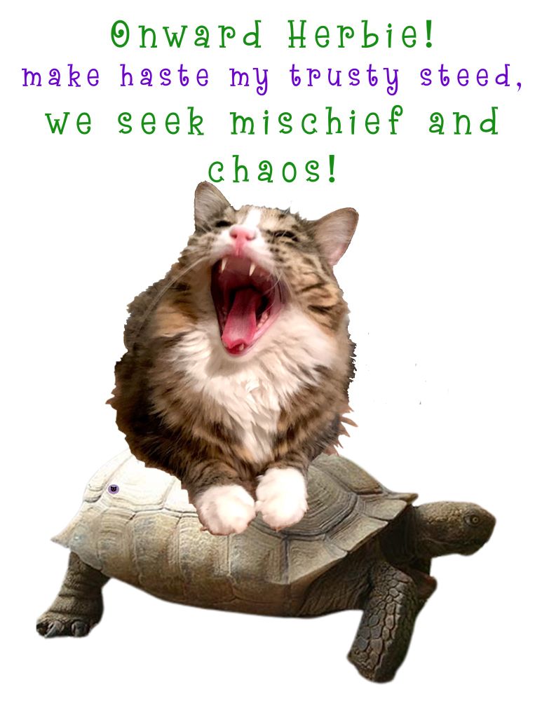 Comment image