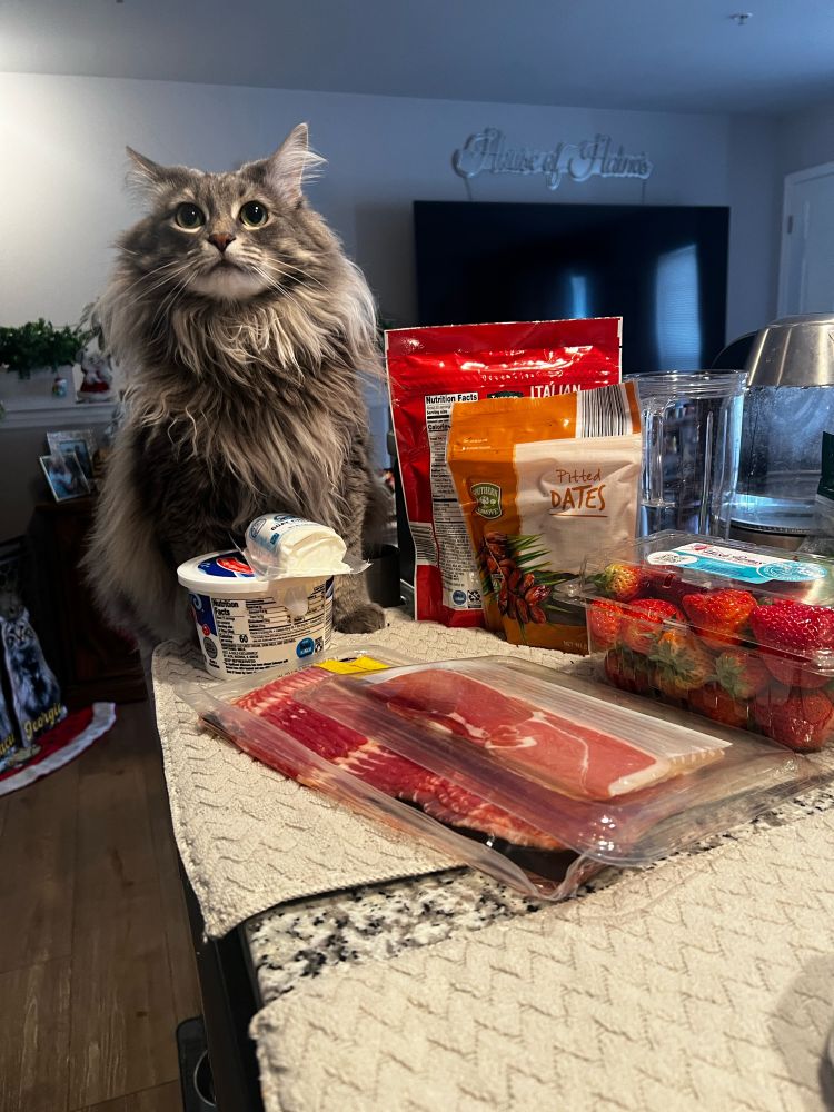 Cat sitting by a pile of groceries looking cute 