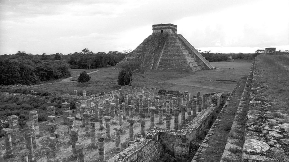 Ancient Genomes Reveal Which Children the Maya Selected for Sacrifice