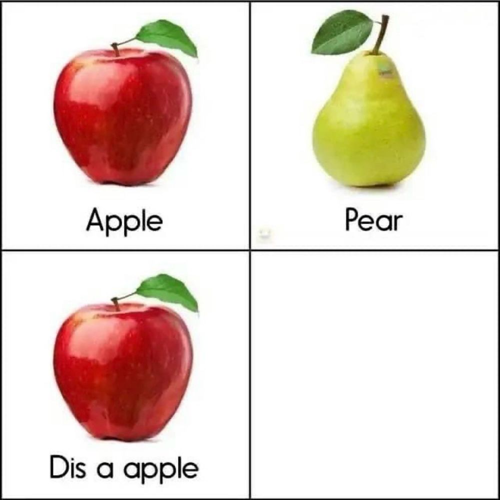 Picture of four quadrants.

Left side is has an apple in upper and lower quadrant. Top left says apple. Bottom left says “Dis an apple”.

Top right quadrant shows a pear and says pear. Bottom right is blank.


