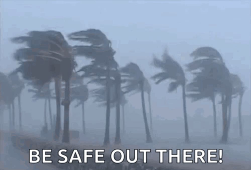 a group of palm trees blowing in the wind with the words `` be safe out there '' written in the foreground .