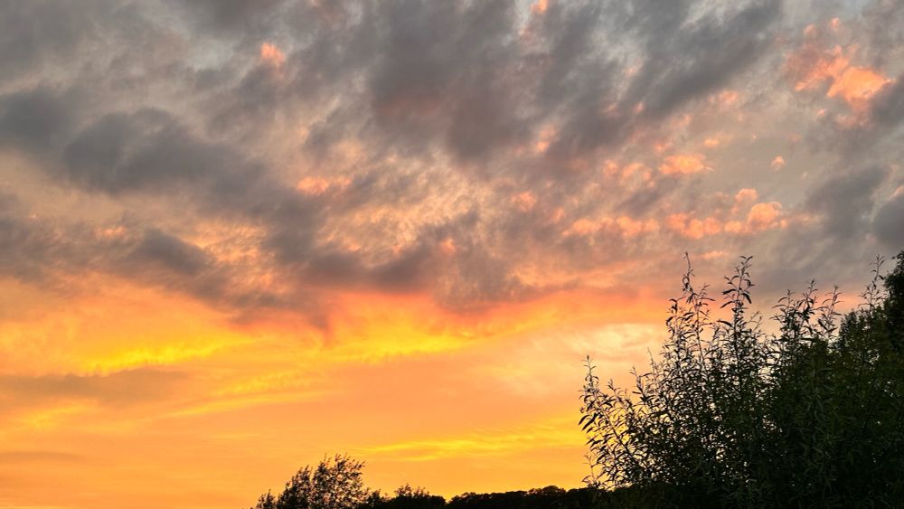 Some trees in the foreground and some clouds at sunset