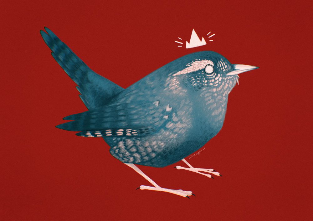 A digital painting of a wren standing proud with a crown on its head, as it is known as the king of birds in Irish folklore. The colour scheme is blues and pinks with a striking red background.
