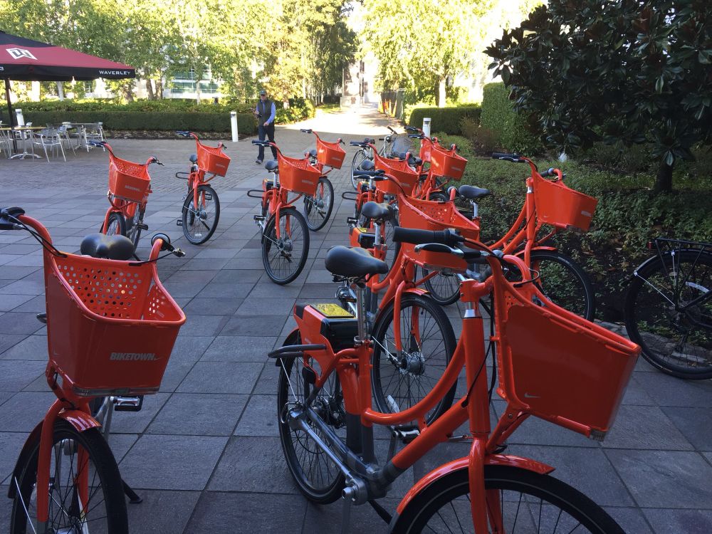 Collection of bikes scattered along a footpath. 