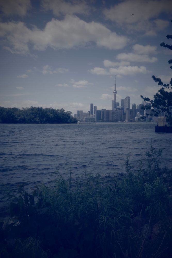 Toronto skyline with lake in foreground. 