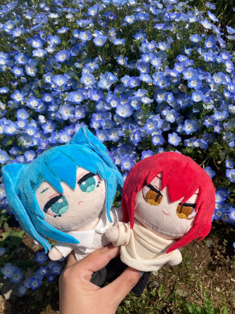 ネモフィラと2人