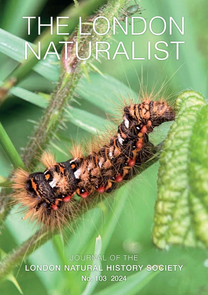 The cover of the last issue of the London Naturalist, with a photo of a caterpillar in vegetation. 