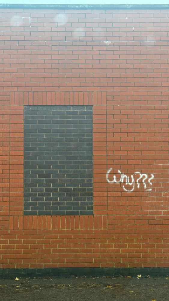 Graffiti on a wall that just says “Why???”