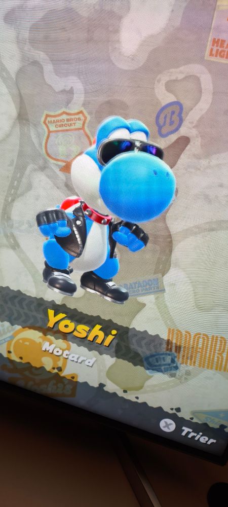 Yoshi motard...