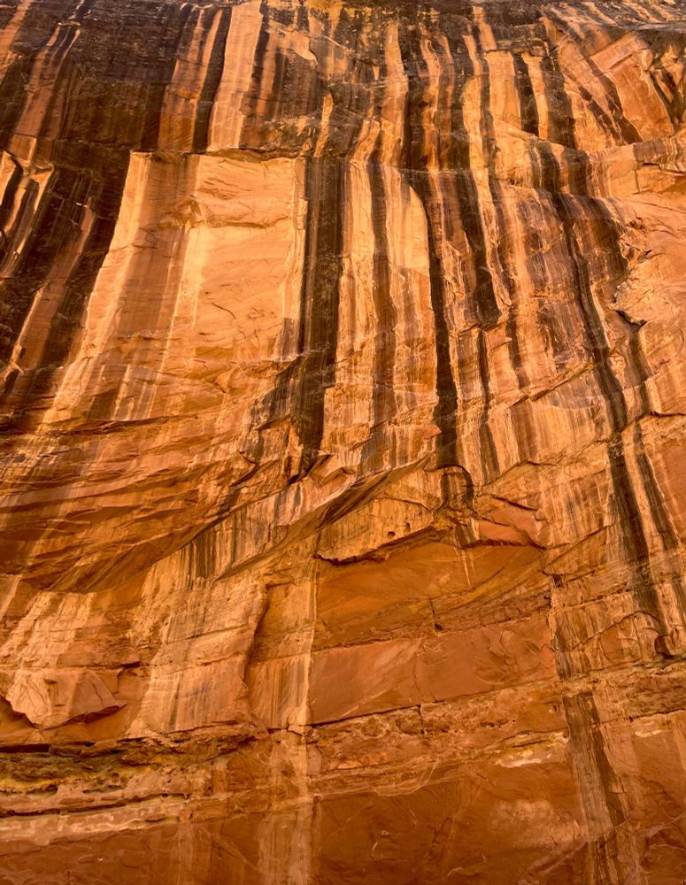 Streaks of black desert varnish running down a canyon wall inside of Grand Wash at Capitol Reef National Park. 