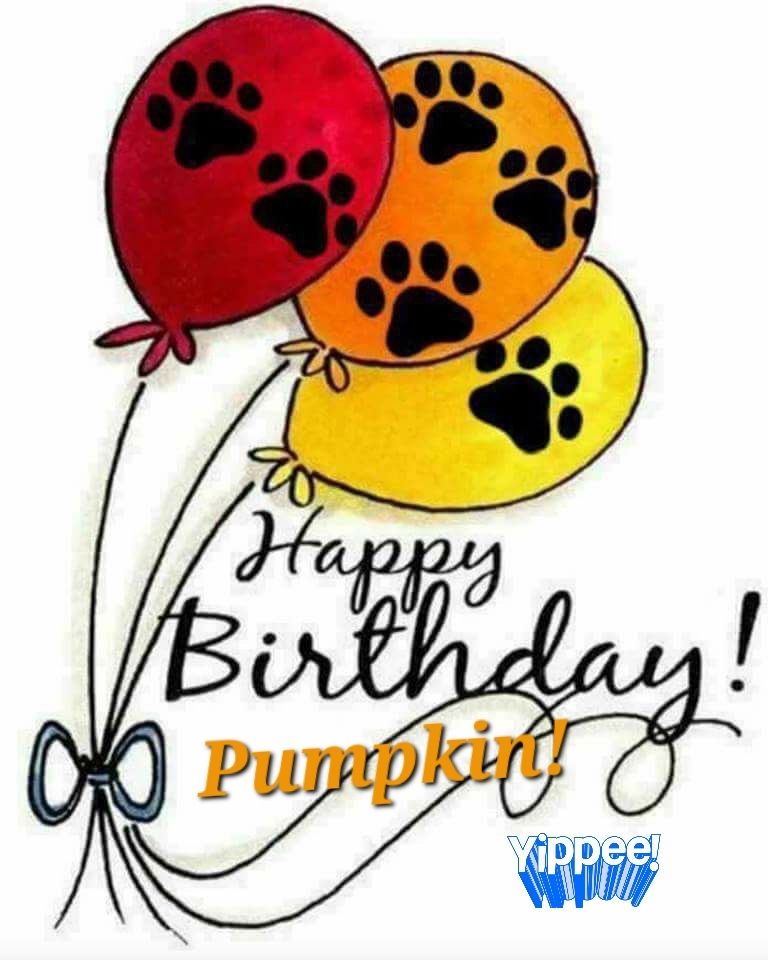 Happy birthday, %Pumpkin.