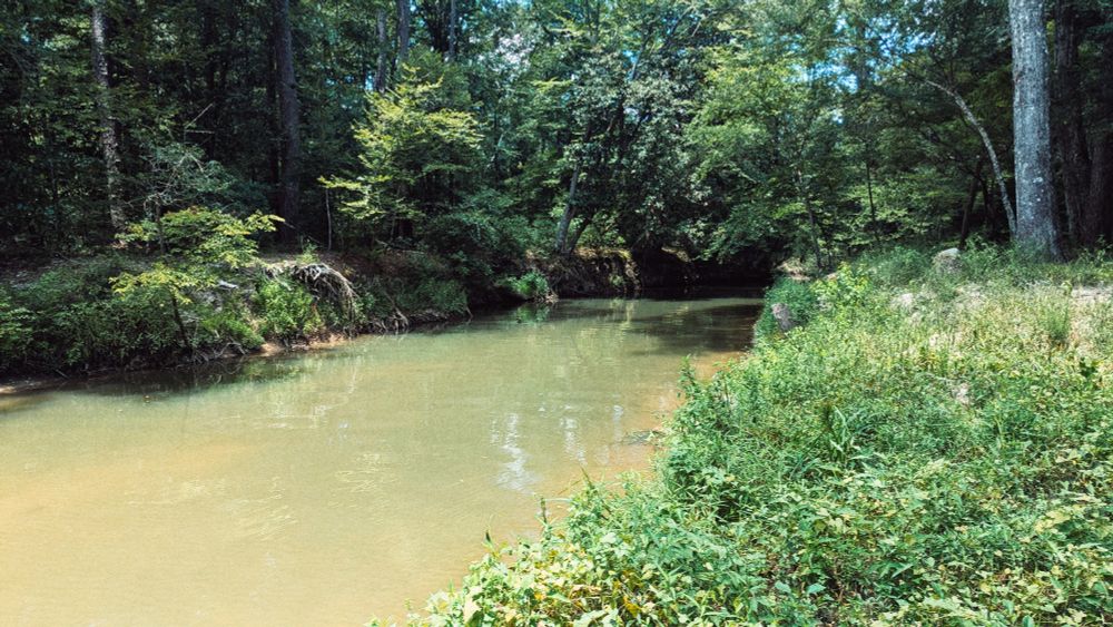 Creek