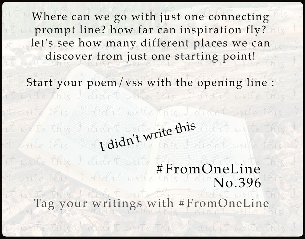 #FromOneLine 396 

Where can we go with just one connecting #prompt line?  Let's see how many different places we can discover from just one starting point!  

Start your poem/vss with the opening line :

I didn't write this

#FromOneLine 396 #prompt

