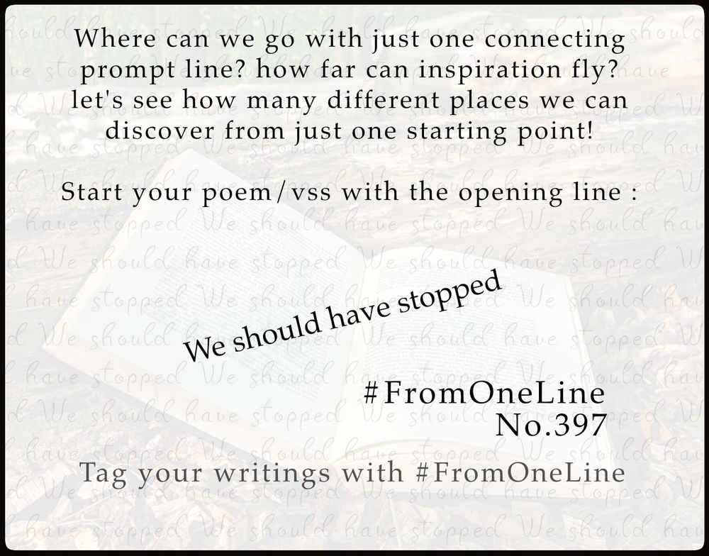 #FromOneLine 397

Where can we go with just one connecting #prompt line?  Let's see how many different places we can discover from just one starting point!    

Start your poem/vss with the opening line : 

We should have stopped 

#FromOneLine 397 #prompt


