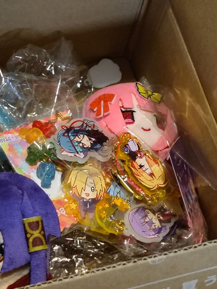 an opened cardboard box with wilardo and zizel plush showing. there's the witch's gummy keychain, noel claire standee, special ashe keychain, and special noel levine keychain. this was by IZ the witch's heart creator.