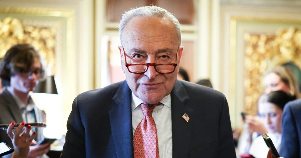 A photo of the worthless Senator Chuck Schumer