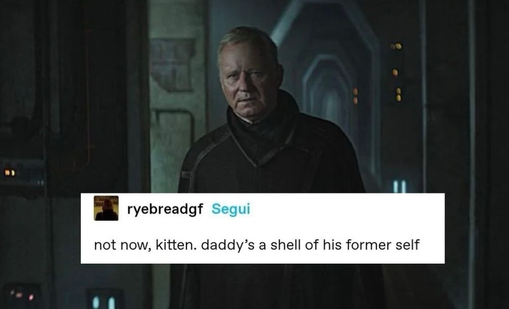 A picture of Luthen Rael from Andor season one with the caption “not now, kitten. daddy’s a shell of his former self”