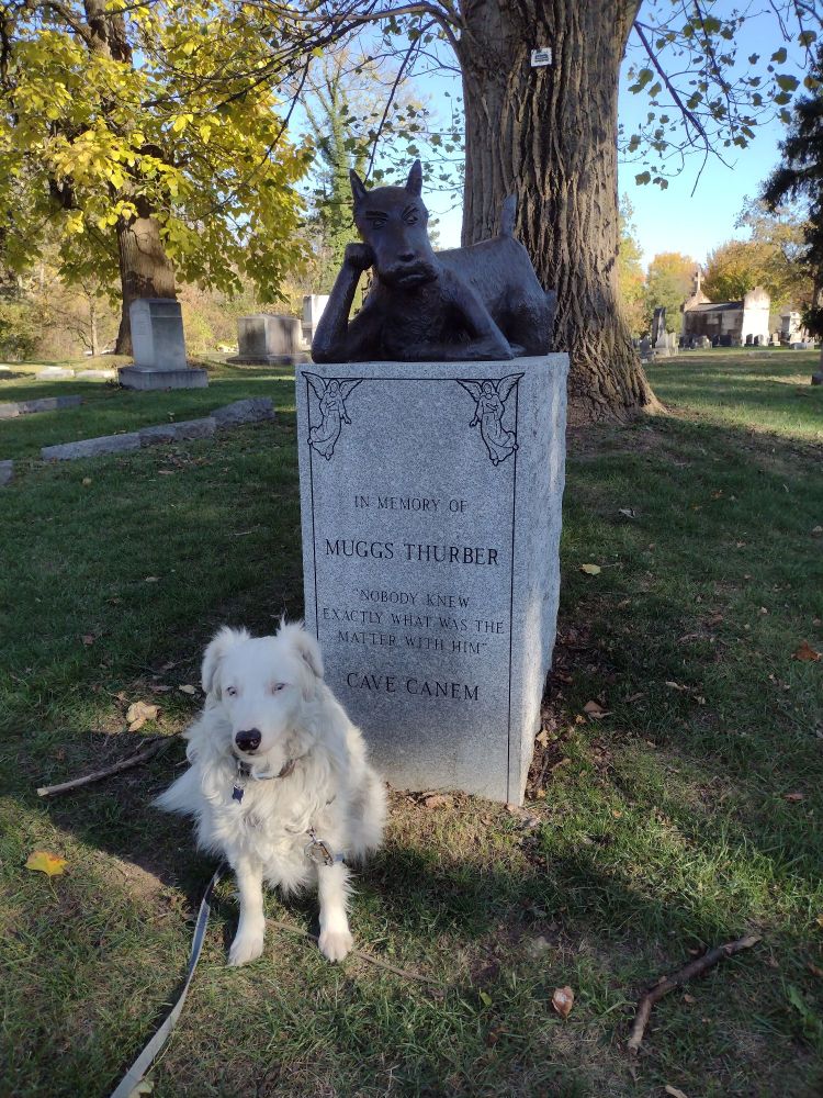 Dog sitting next to a monument to James Thurber's dog Muggs. 