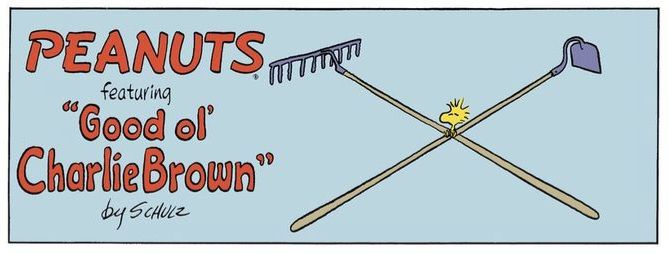 Top of a Peanuts colour comic strip '...featuring "Good ol' Charlie Brown"...' with a cartoon of a rake and a hoe crossed, with little yellow Woodstock the bird sitting where the handles meet.