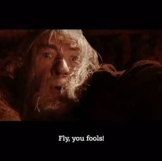 A movie still photo from Lord of the Rings: The old, wise wizard Gandalf looks up over the edge of the cliff he's dangling from and calls urgently to his companions, "Fly, you fools!"