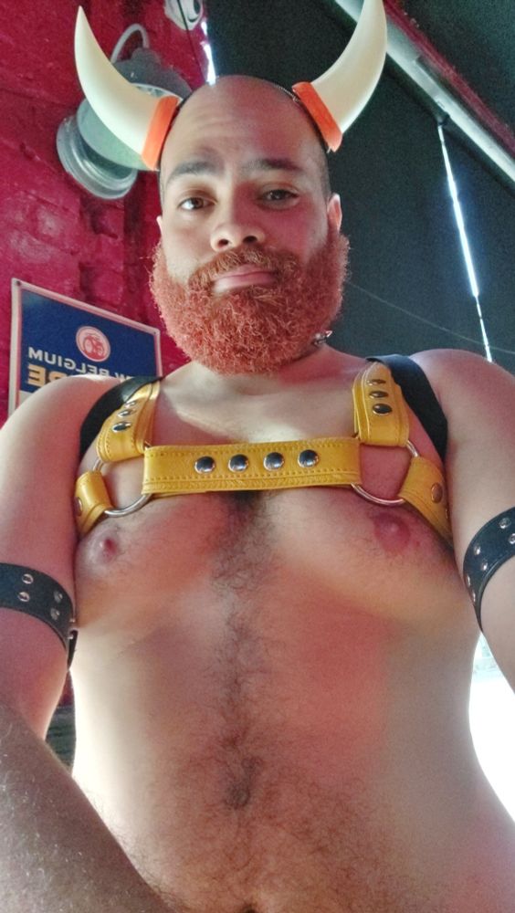 Gay in horns and harness from that time he decided to go out in bowser inspired attire in like the middle of June for no reason